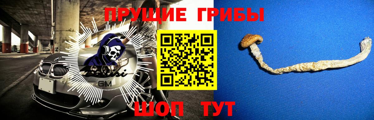 Псилоцибиновые грибы прущие грибы Азов