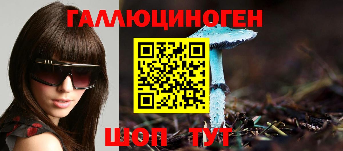 Псилоцибиновые грибы MAGIC MUSHROOMS  Галлюциногенные грибы GOLDEN TEACHER  наркошоп  Вход с VPN  Азов 